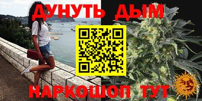 ешки Кингисепп