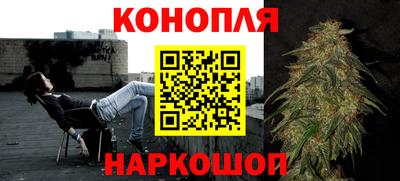 ешки Кингисепп