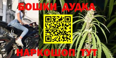 ешки Кингисепп
