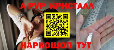 ешки Кингисепп