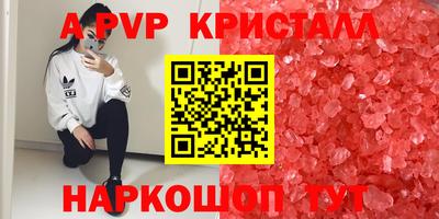 ешки Кингисепп
