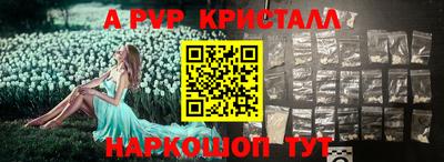 ешки Кингисепп
