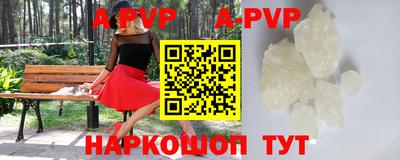 ешки Кингисепп