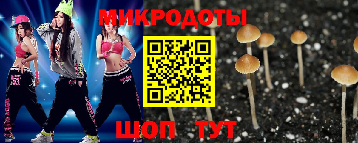 Псилоцибиновые грибы мицелий Ленинск-Кузнецкий