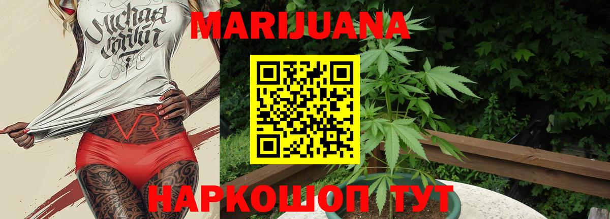 Бошки Шишки гибрид  Канабис конопля  Вход с VPN  Ленинск-Кузнецкий  Конопля VHQ 